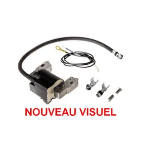 Bobine d'allumage électronique Briggs et Stratton | Webmotoculture.com