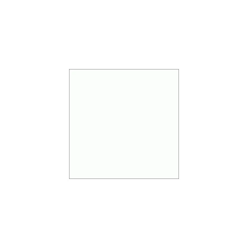 Kaldewei baignoire acier émaillé  Advantage SANIFORM V3 362-1 1600x700mm: 192334010001